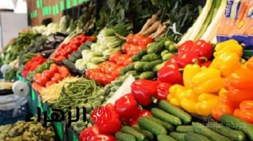 تراجع مفاجئ.. أسعار الخضروات والفاكهة اليوم مفاجأة في سعر كيلو الطماطم والبطاطس بسوق العبور 1